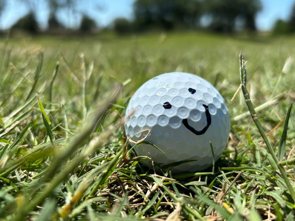 A golf ball smiles amidst the green grass.